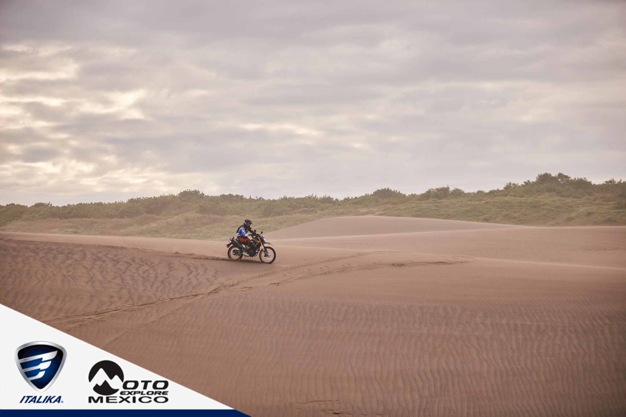 ITALIKA CHACHALACAS D2 495